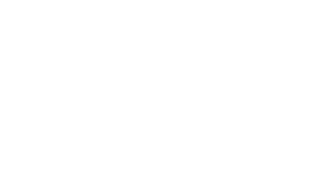 Bwizer
